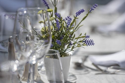 Brasserie de la Méditerranée