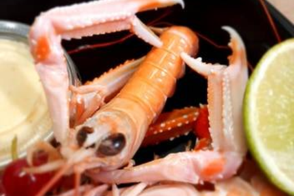 Restaurant _ le bergerac