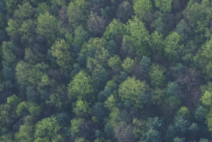 bistrot du chalet des tuffes