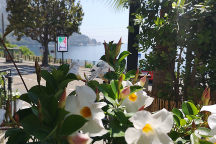 Da Rossana Restaurant