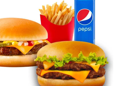 Snack Vite fait bien fait