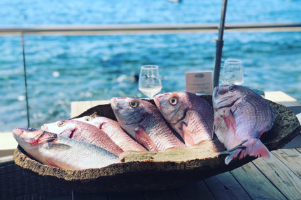 Les Planches SAINTE-MAXIME