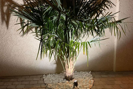 Restaurant Maison Baudoin