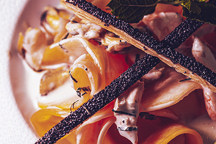 Le Puits Saint-Jacques