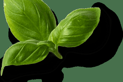 Pizzeria du Vaudreuil