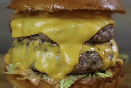 NOVO BURGER COLOMIERS(FAIT MAISON)