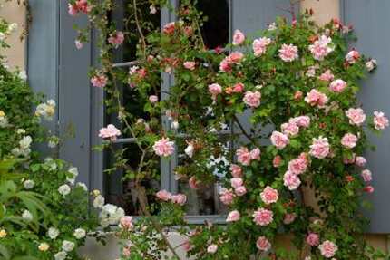 Restaurant La Table de Terroir by La Marbrerie