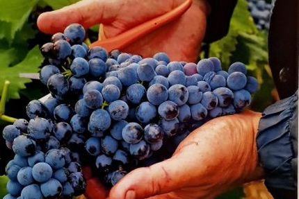 Restaurant La Table de Terroir by La Marbrerie