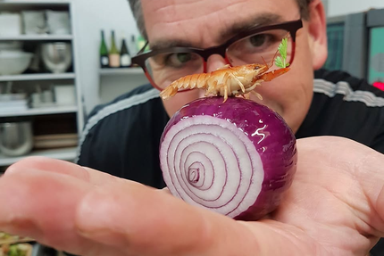 Auberge de l'Île Enchantée