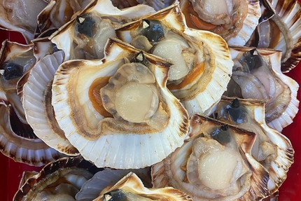 Restaurant Du Blavet