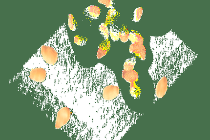 Japan Burger Castelnau- le-lez