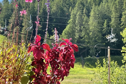 Restaurant table d hôtes le chalet