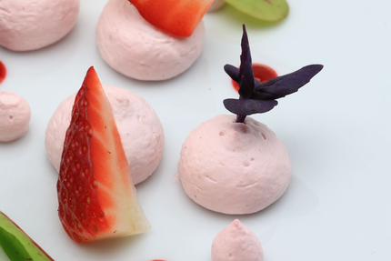 The Jungle - Marssac