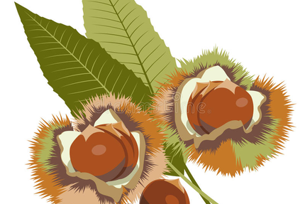 Bar brasserie snack La Chataigne