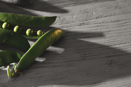 Restaurant le Clos st Thomas