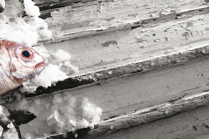 Restaurant le Clos st Thomas