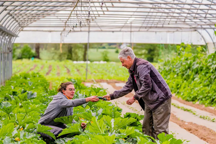 Magasin de vente et Restaurant de l'ESAT Les Hardys Béhélec