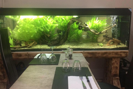 Restaurant Le Croq Soleil