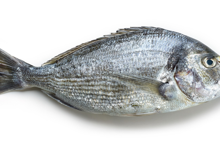 Restaurant La Coquille