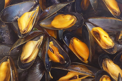 Restaurant Le Front de Mer