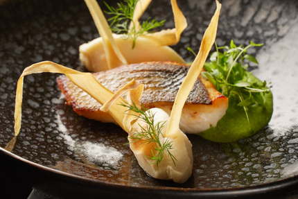 Restaurant Parc Carola - Ribeauvillé