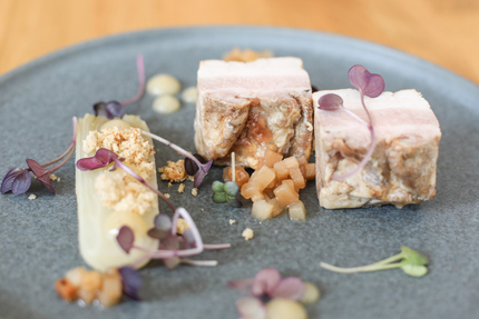 ACCALMIE - La Tranche sur mer