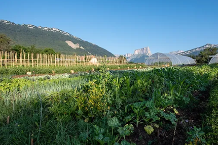 Le Bistrot de la Place