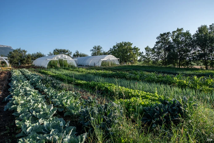 Le Bistrot de la Place
