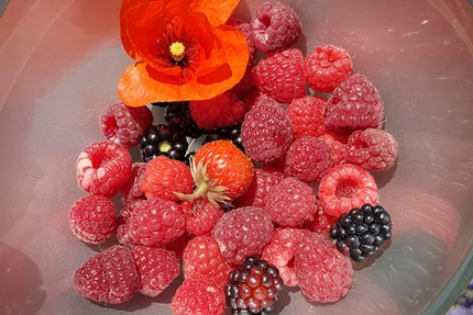 La Grange Gourmande Villing