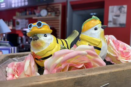 COMPTOIR de CAMPAGNE - Saint-Etienne-le-Molard