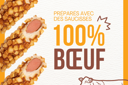 Chungchun Ricedog Coréen Marseille Joliette