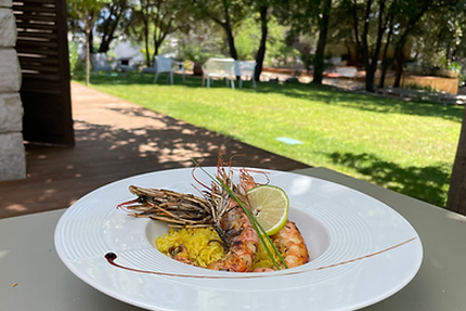 La Villa des Amandiers