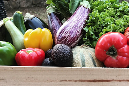 La Villa des Amandiers