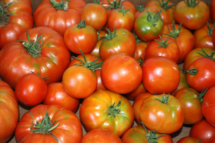 Saveurs Gourmandes - Pizzas artisanales cuites au feu de bois